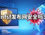 dnfsf发布网怎么选 哪个版本最稳定