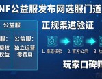 DNF公益服发布网怎么找靠谱的