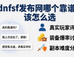 dnfsf发布网哪个靠谱 该怎么选