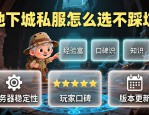 地下城私服怎么选不踩坑 老玩家真实经验分享